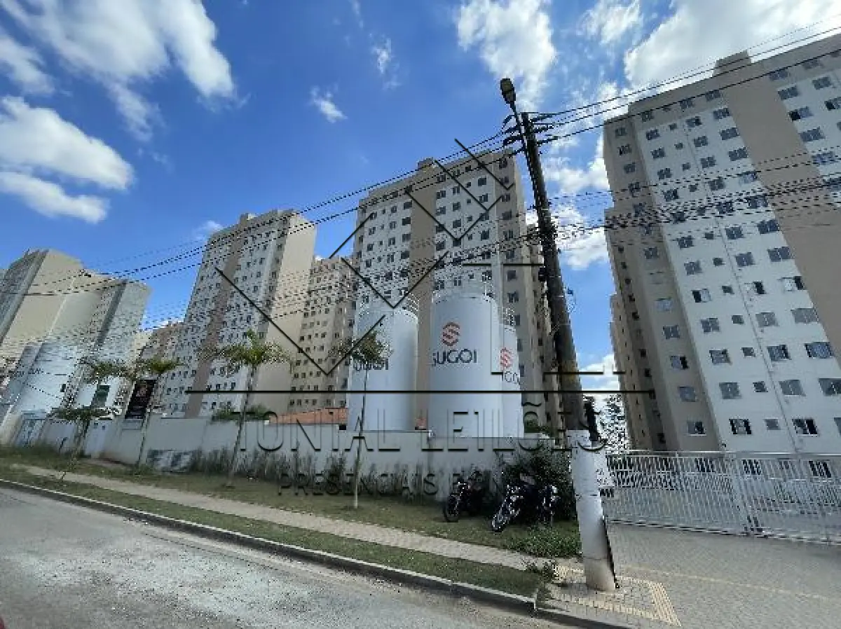 LOTE 503