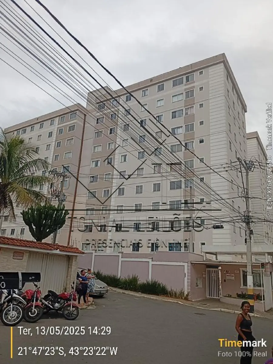 LOTE 099