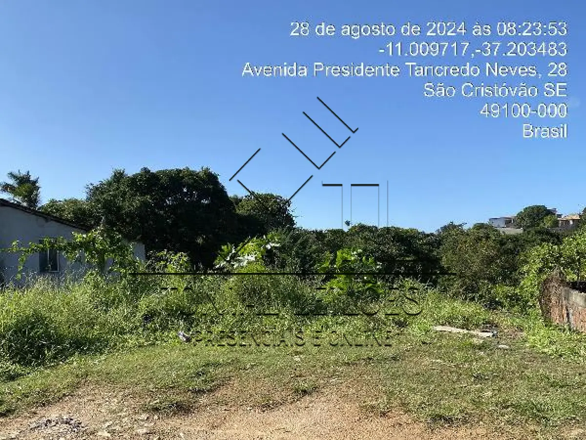 LOTE 408