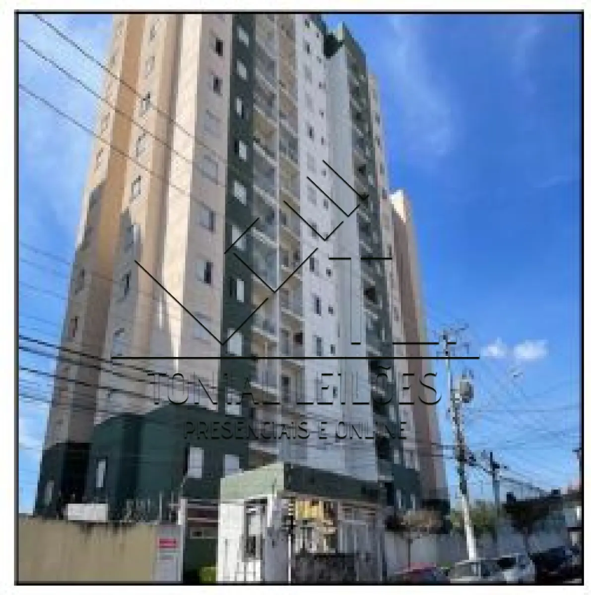 LOTE 496