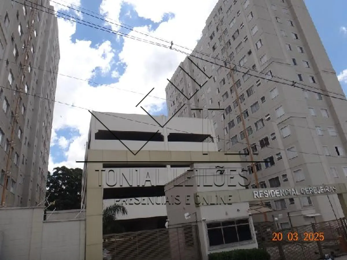 LOTE 504