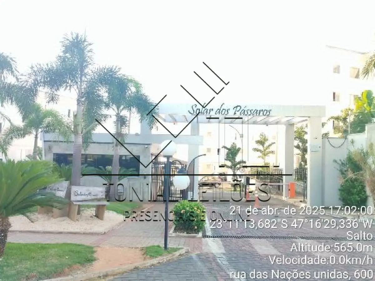 LOTE 479