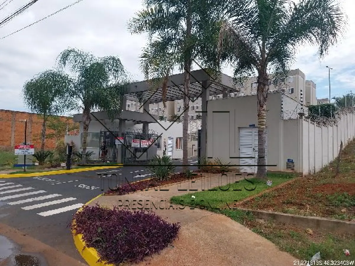 LOTE 455