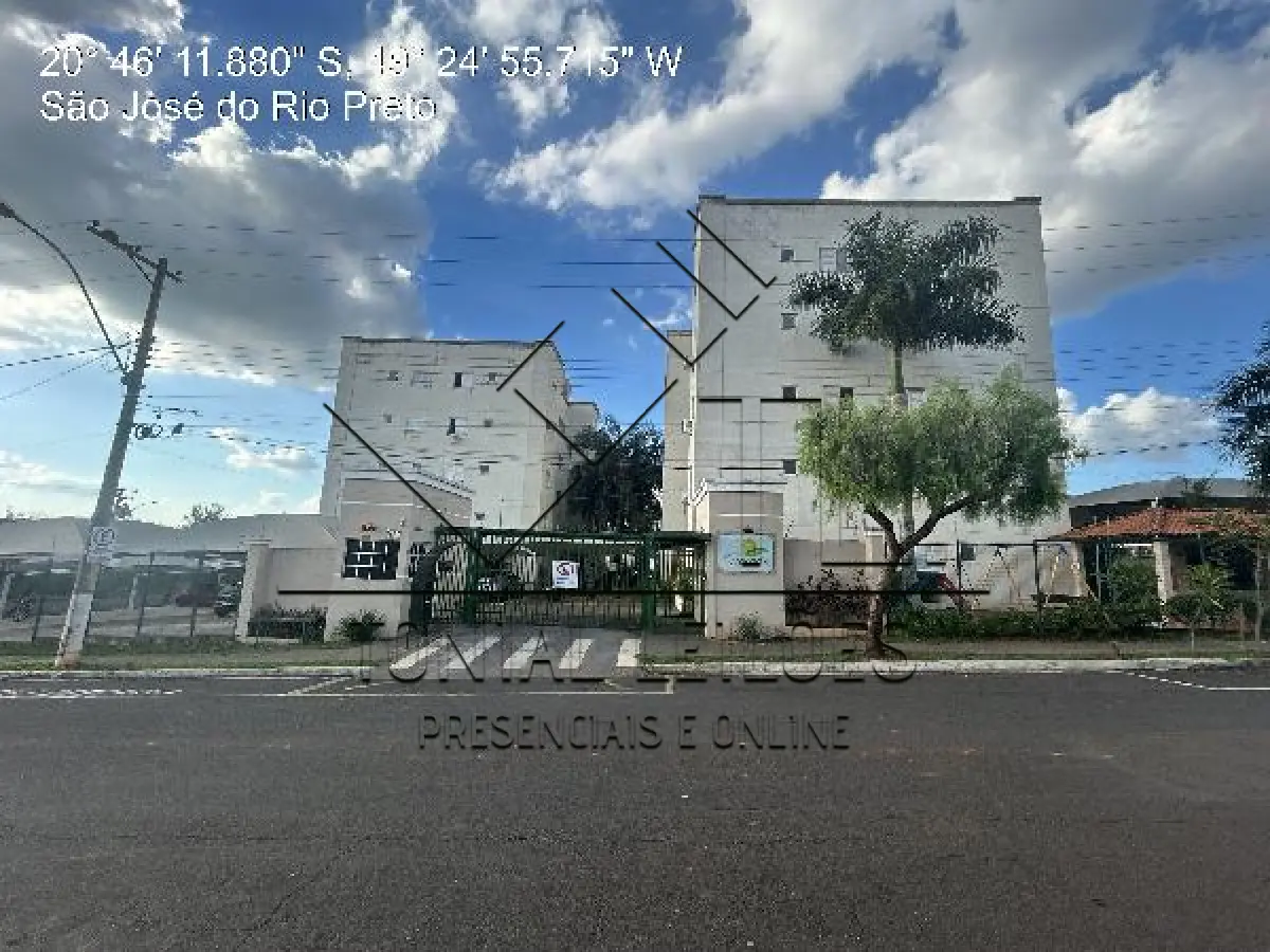 LOTE 482
