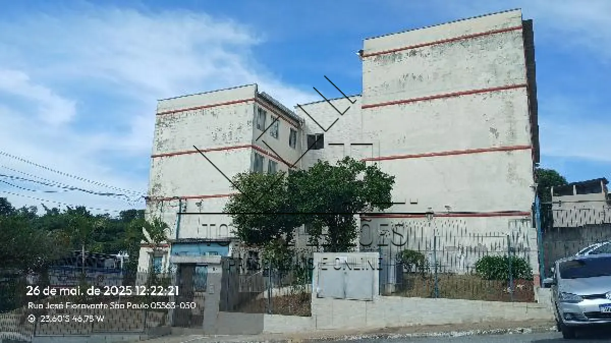 LOTE 497