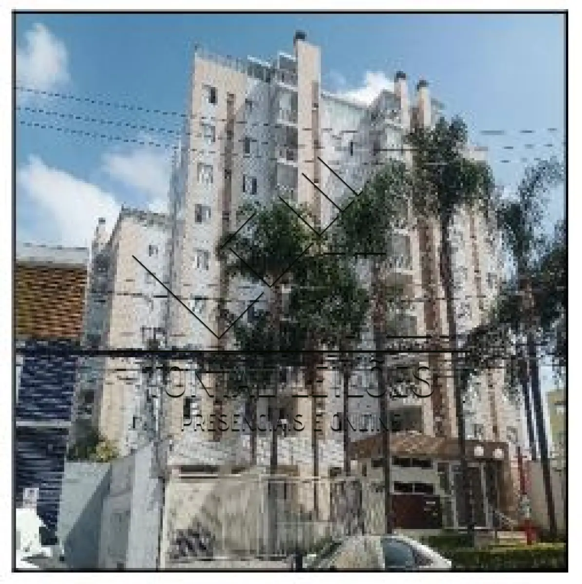 LOTE 487