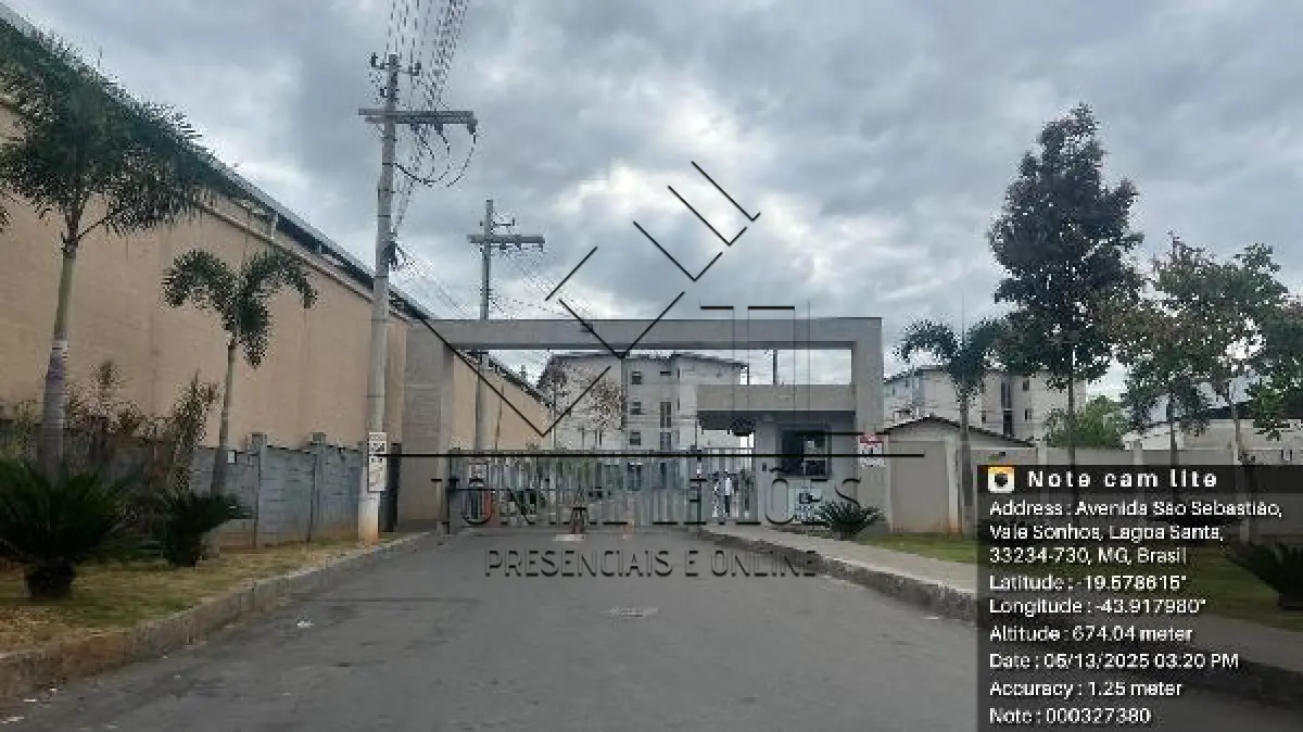 LOTE 106