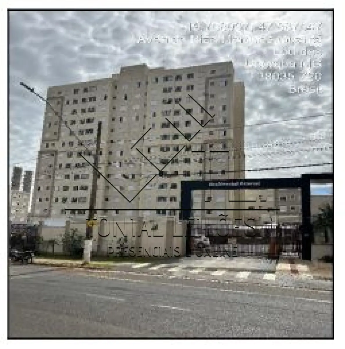 LOTE 122