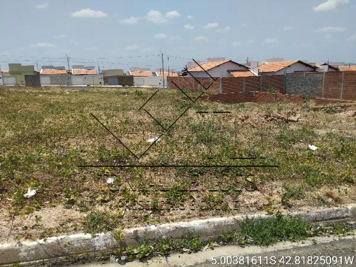 LOTE 176