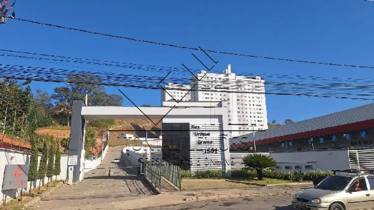 LOTE 101