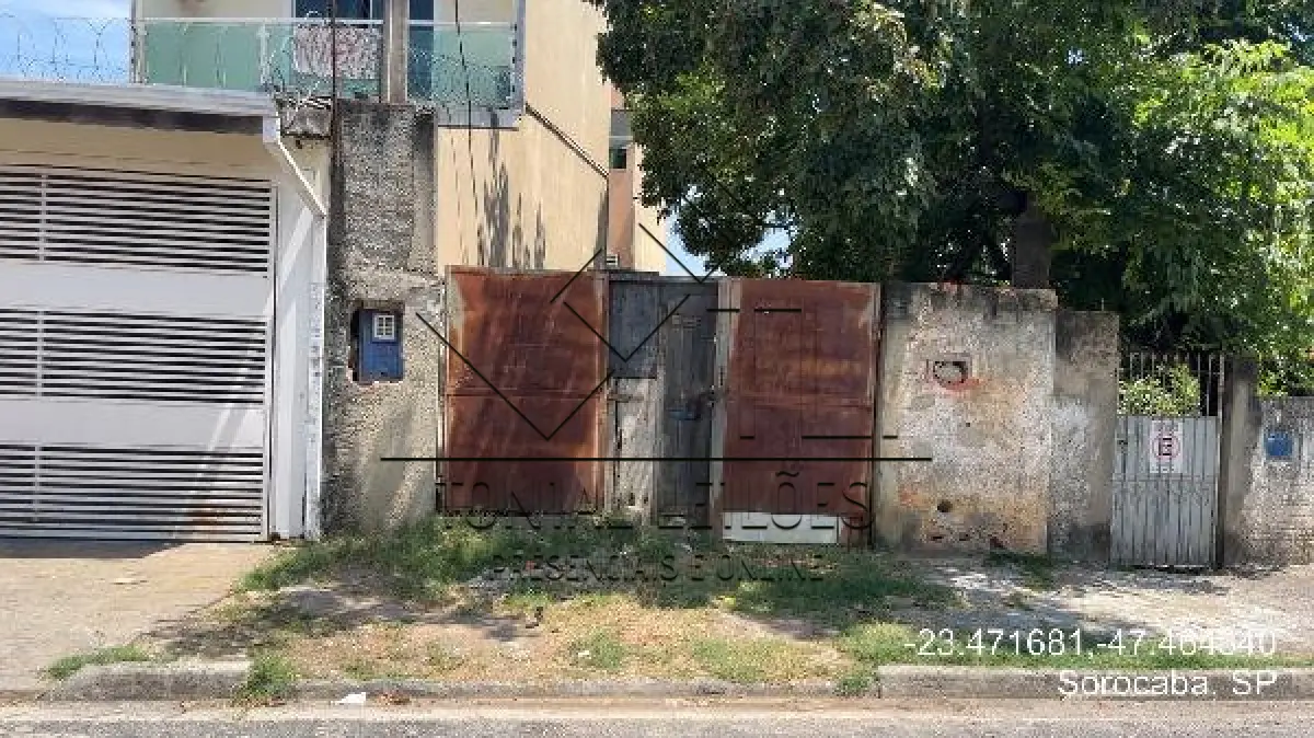LOTE 513
