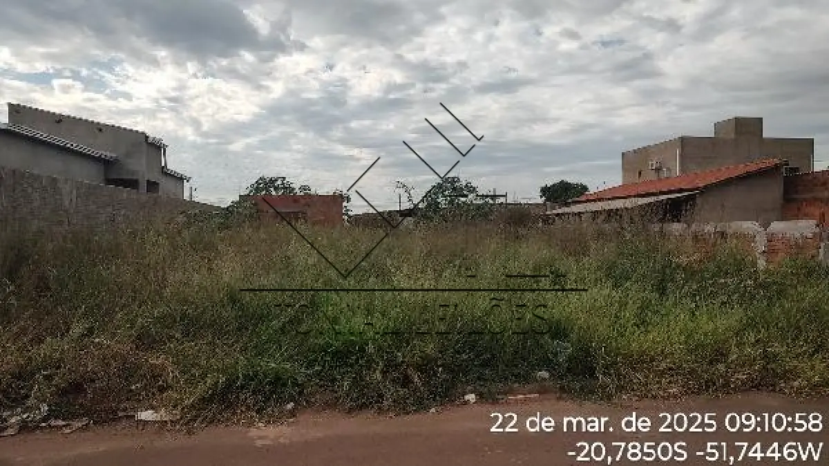 LOTE 135