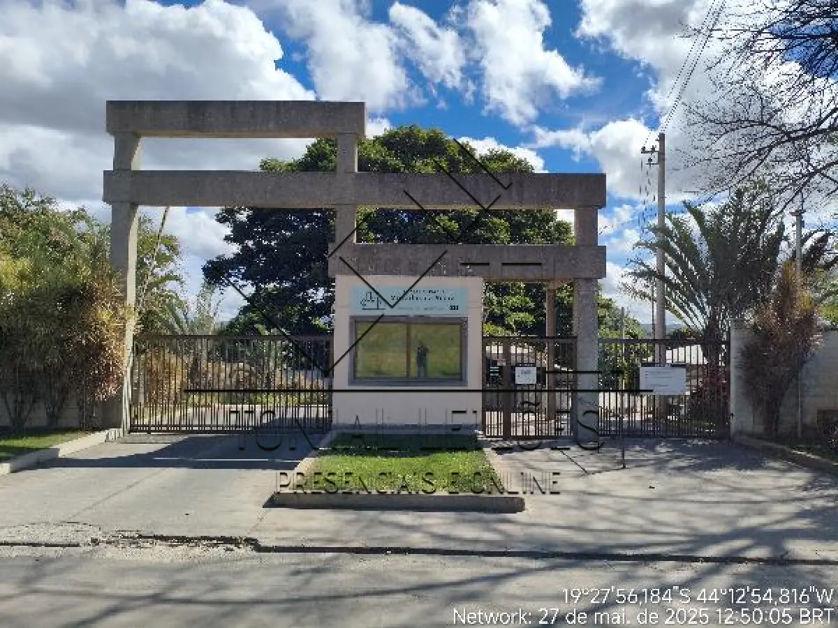 LOTE 119