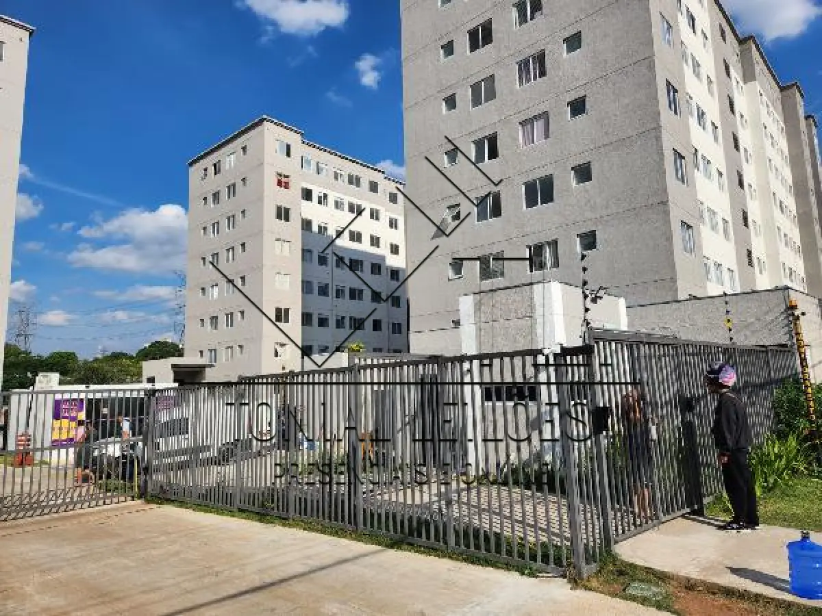 LOTE 501