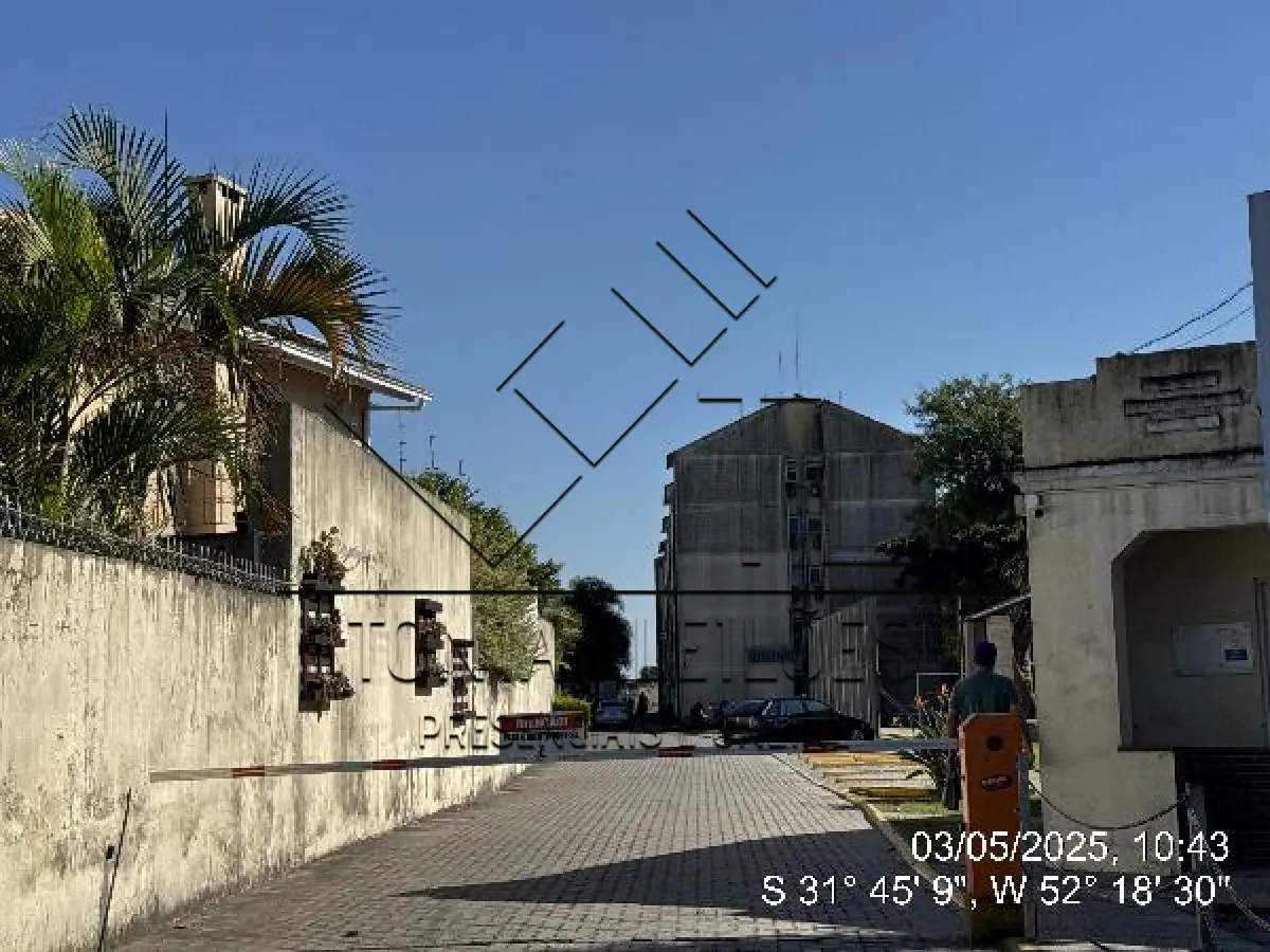 LOTE 355