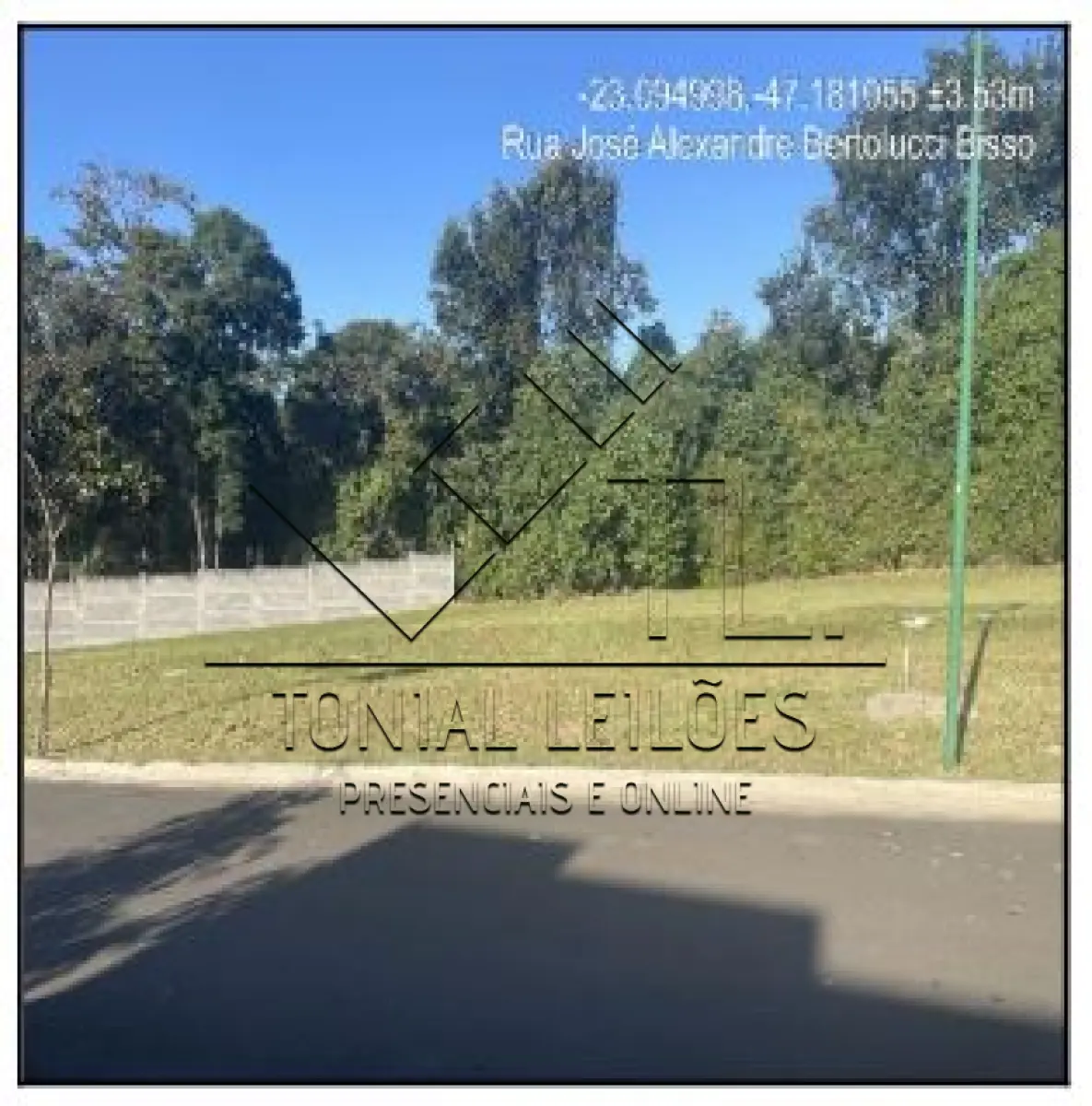 LOTE 451