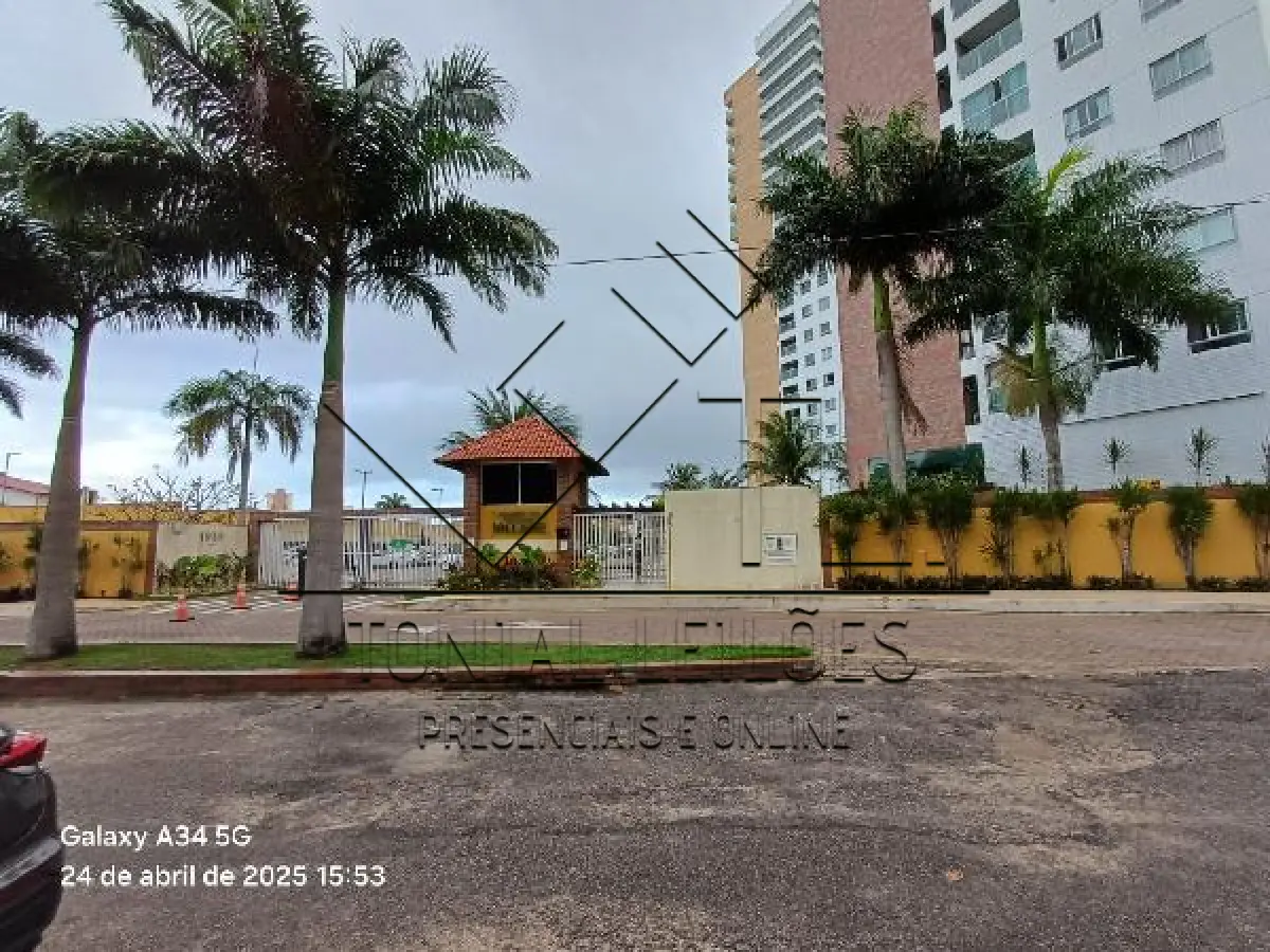 LOTE 338