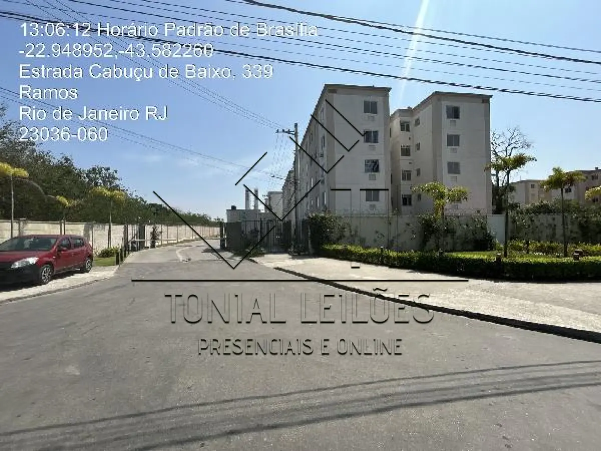 LOTE 282