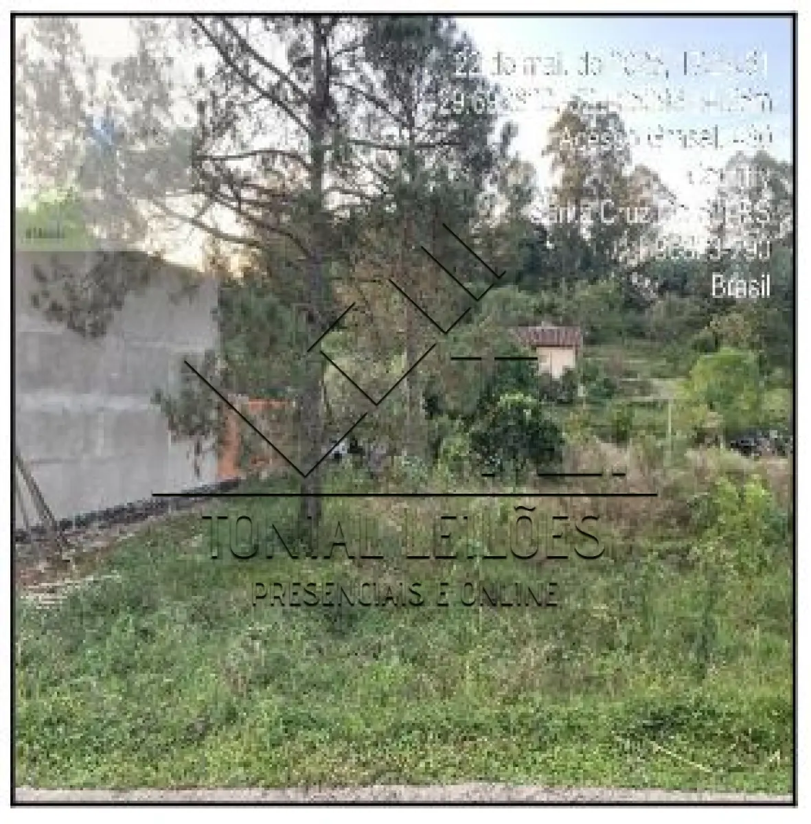 LOTE 381