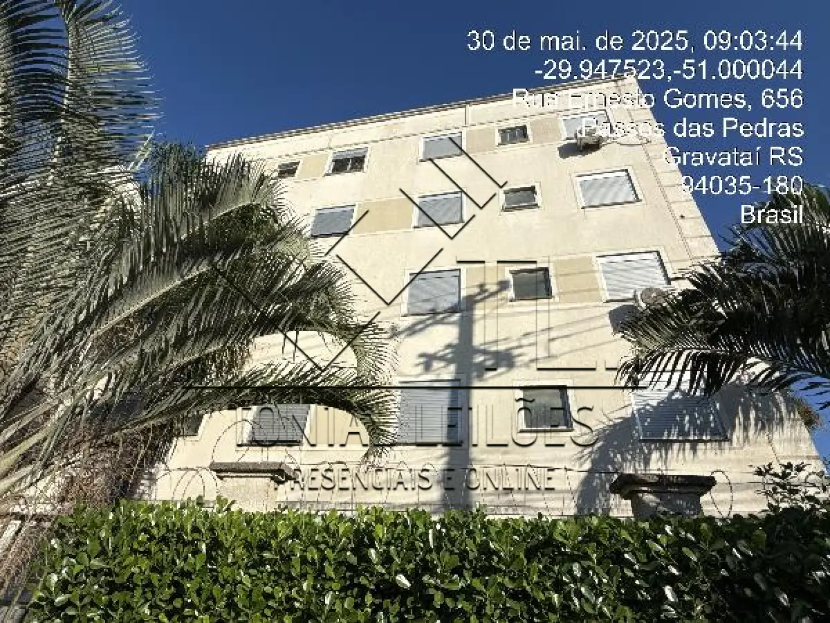 LOTE 351