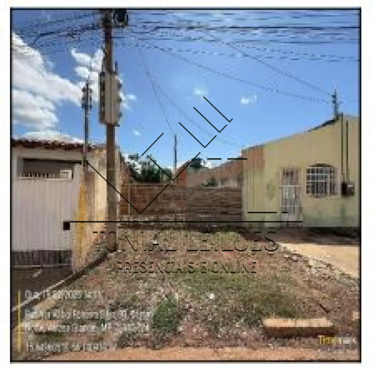LOTE 141