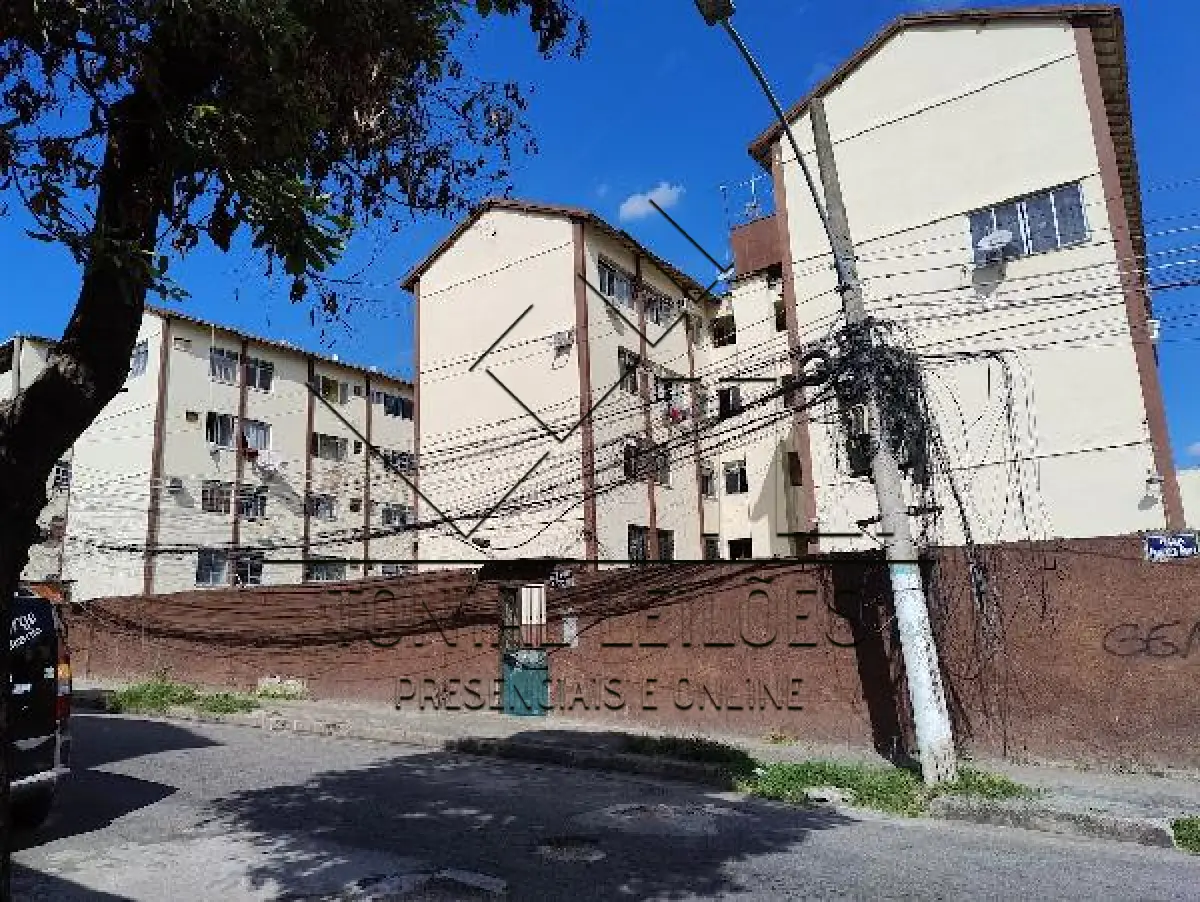 LOTE 264