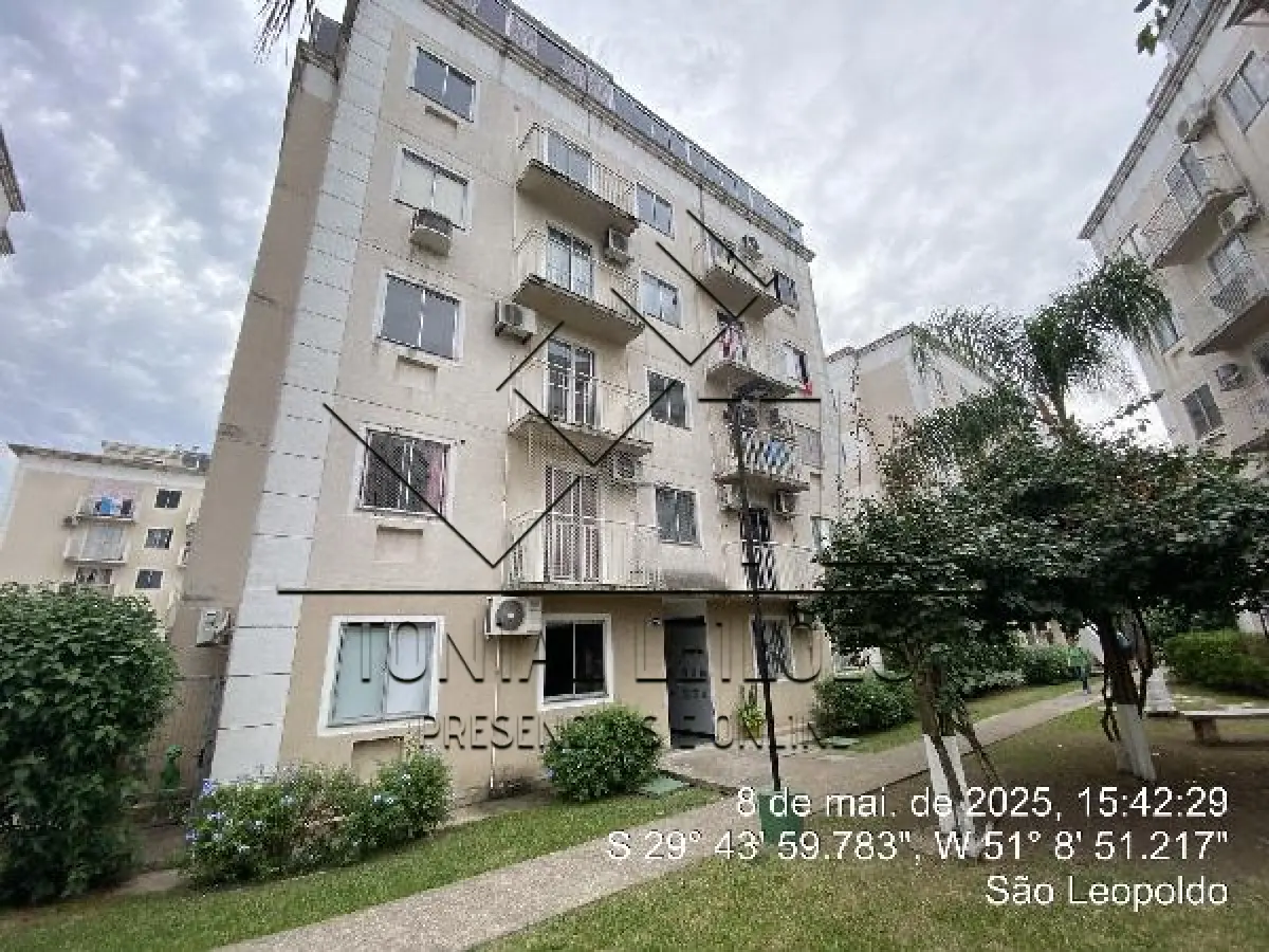 LOTE 385
