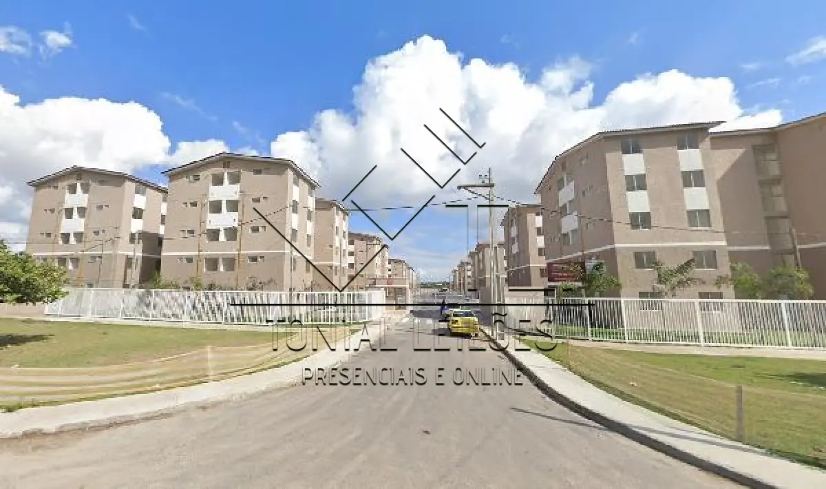 LOTE 228
