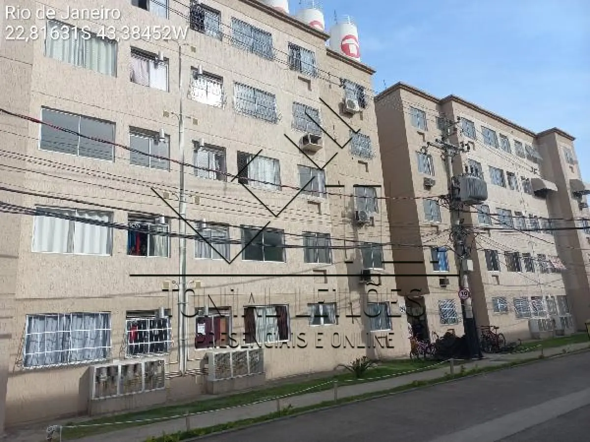 LOTE 258