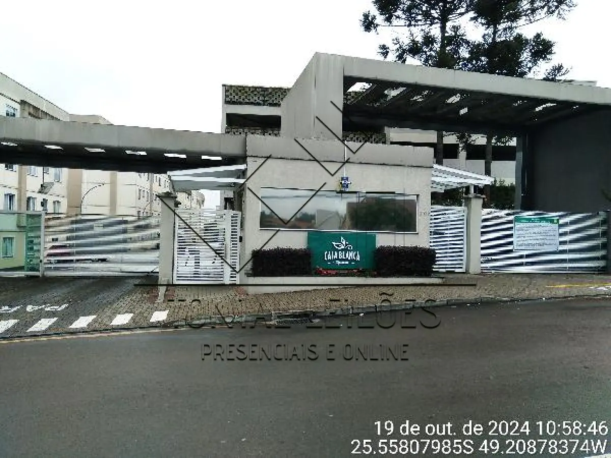 LOTE 203