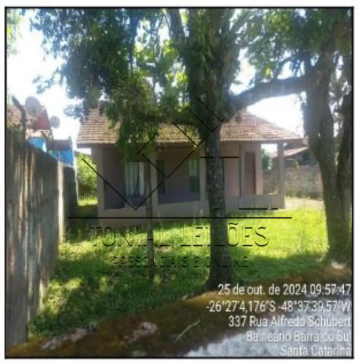LOTE 389