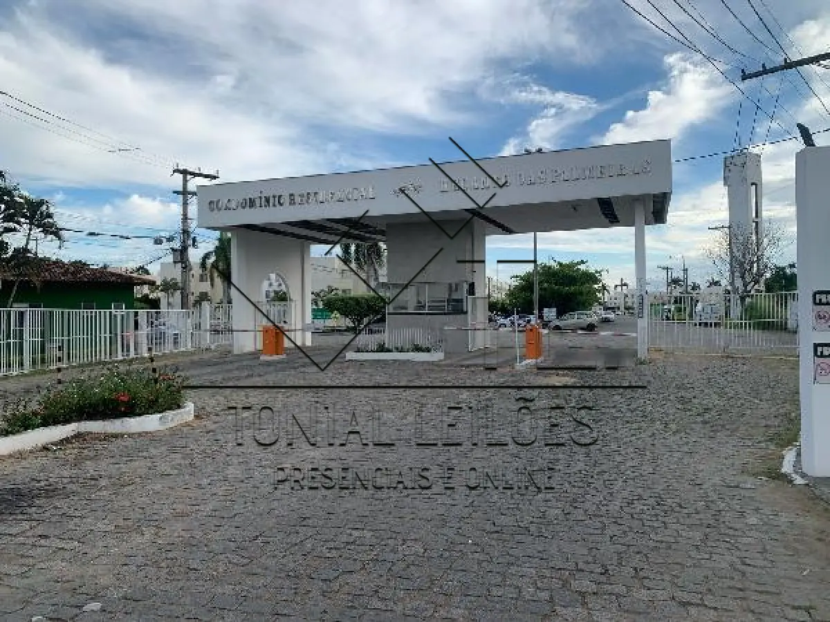 LOTE 219