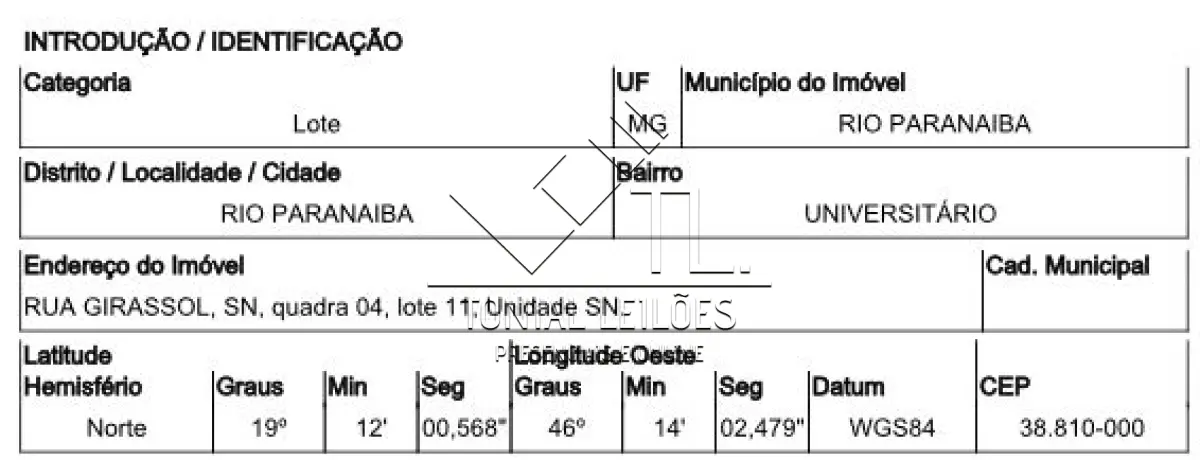 LOTE 113