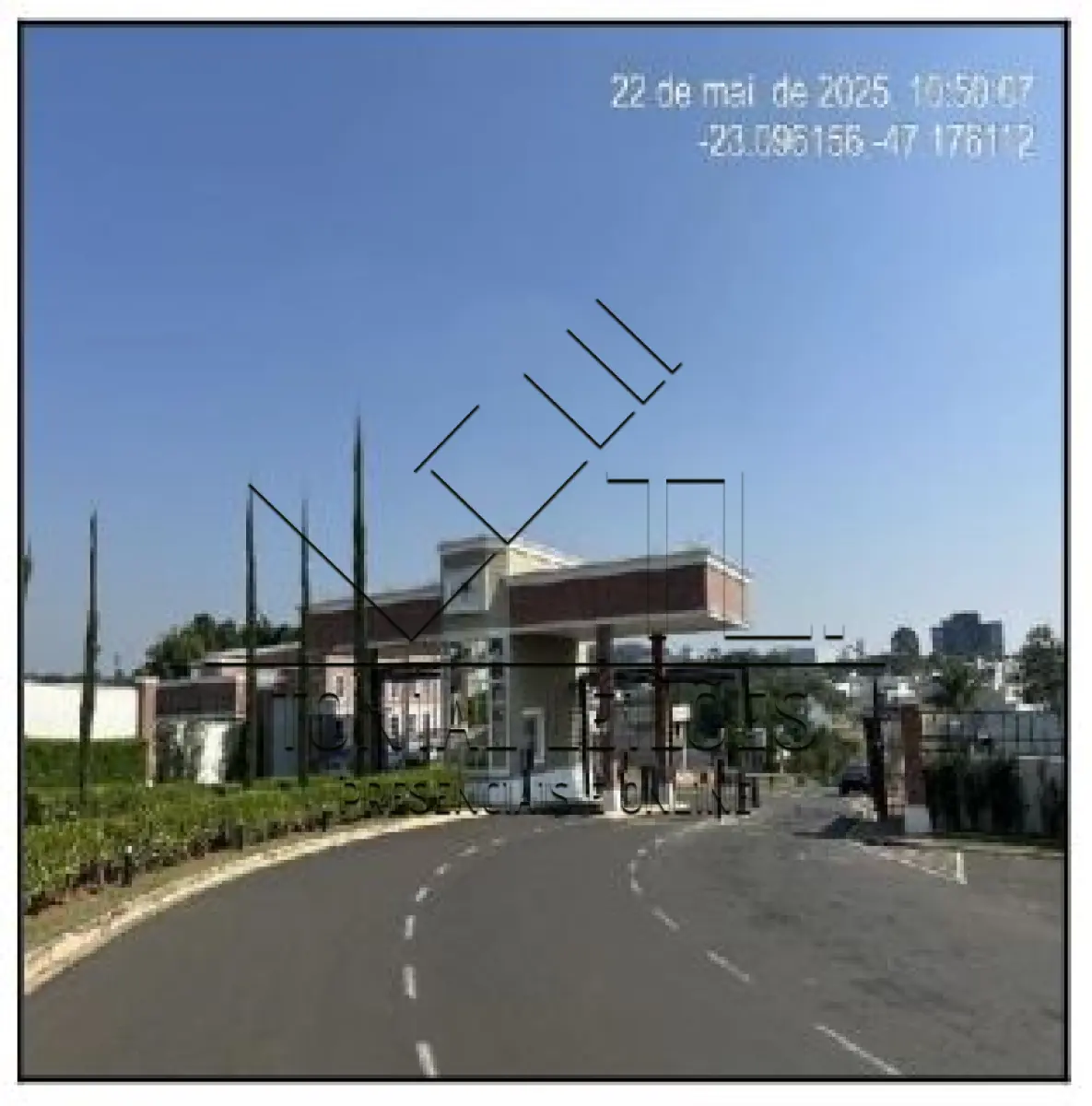 LOTE 452