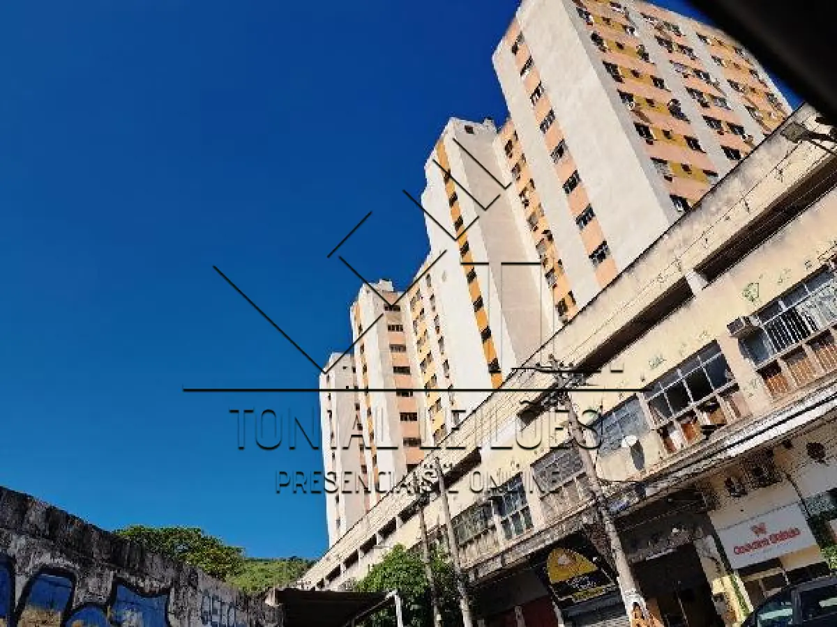 LOTE 296