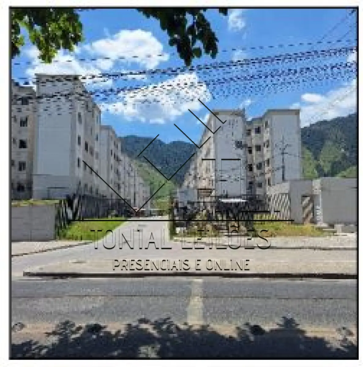 LOTE 243