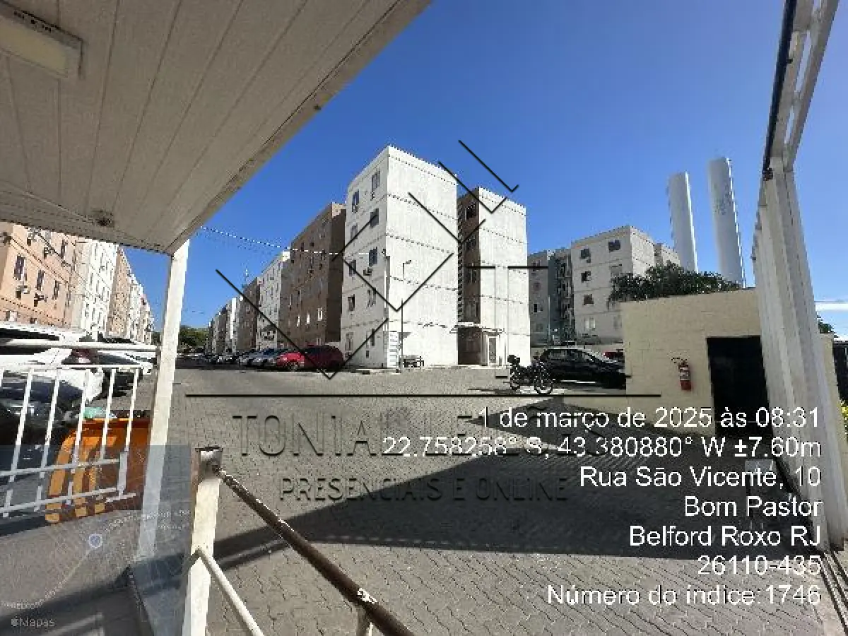 LOTE 209