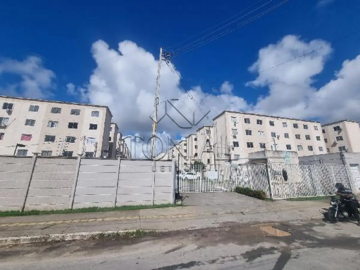 LOTE 241 - Apartamento -  PAULISTA  / PE