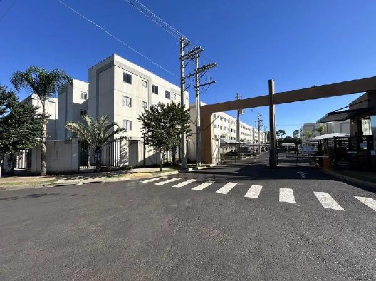 LOTE 501 - Apartamento - RIBEIRAO PRETO / SP