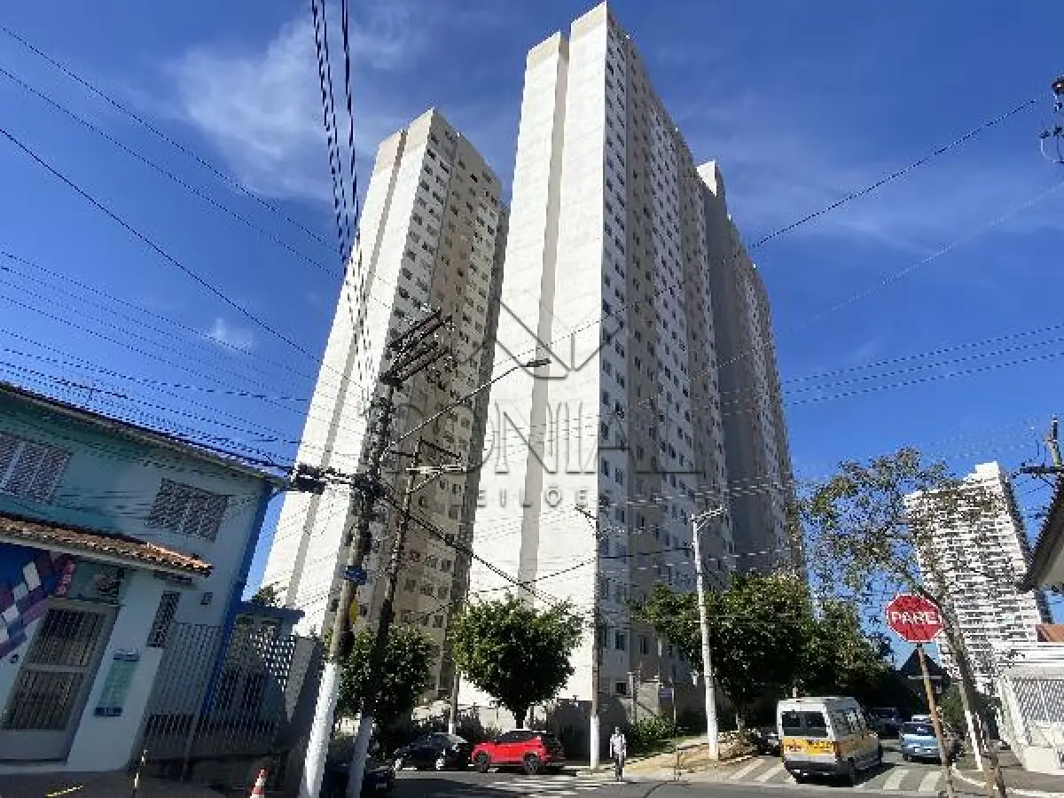 LOTE 544 - Apartamento - SAO PAULO / SP