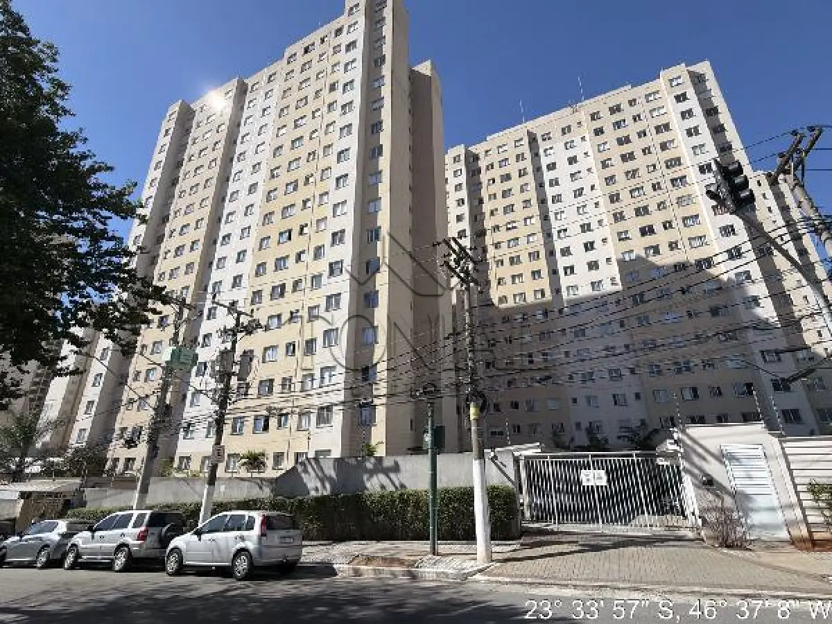 LOTE 557 - Apartamento - SAO PAULO / SP