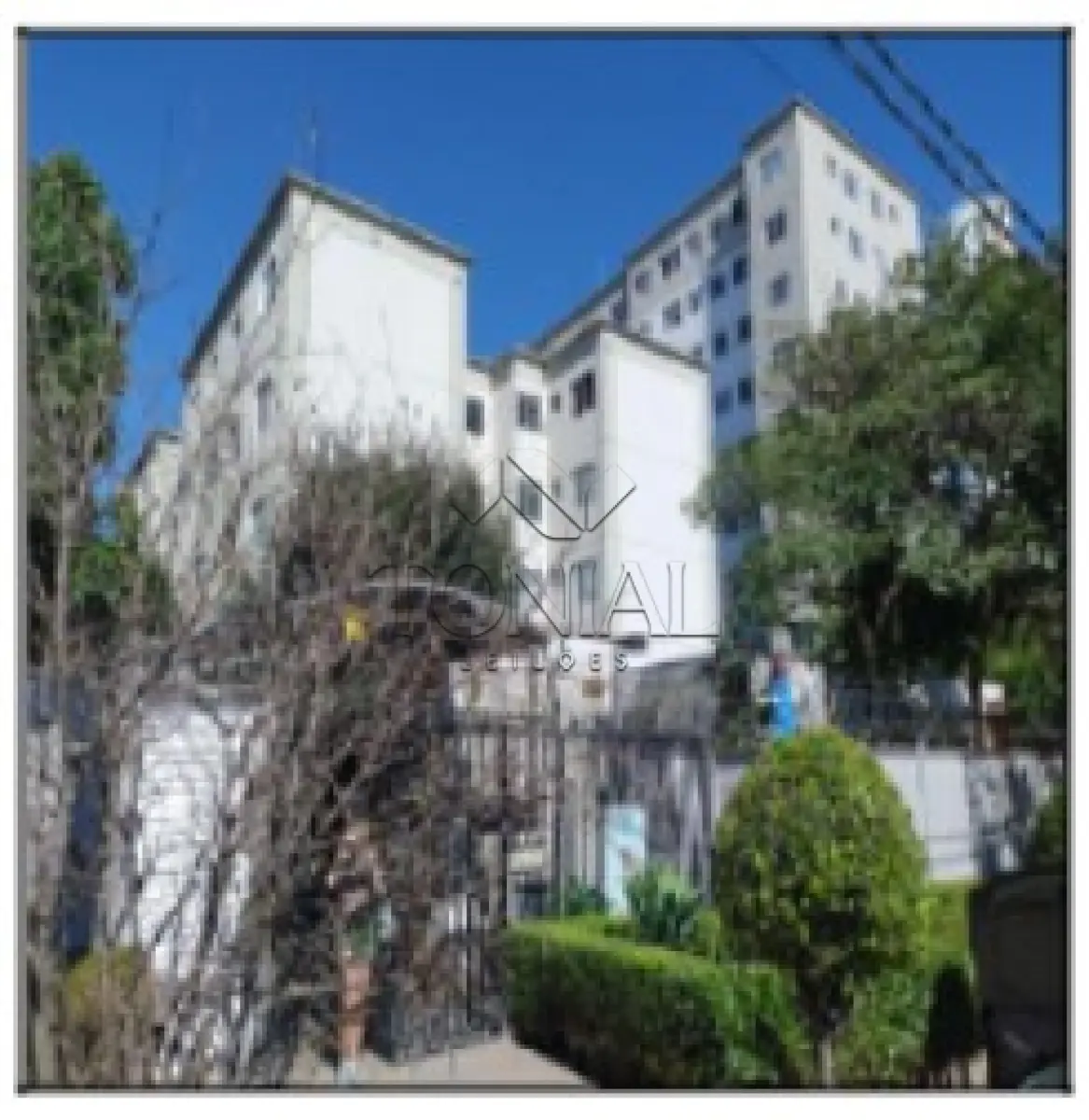 LOTE 550 - Apartamento - SAO PAULO / SP