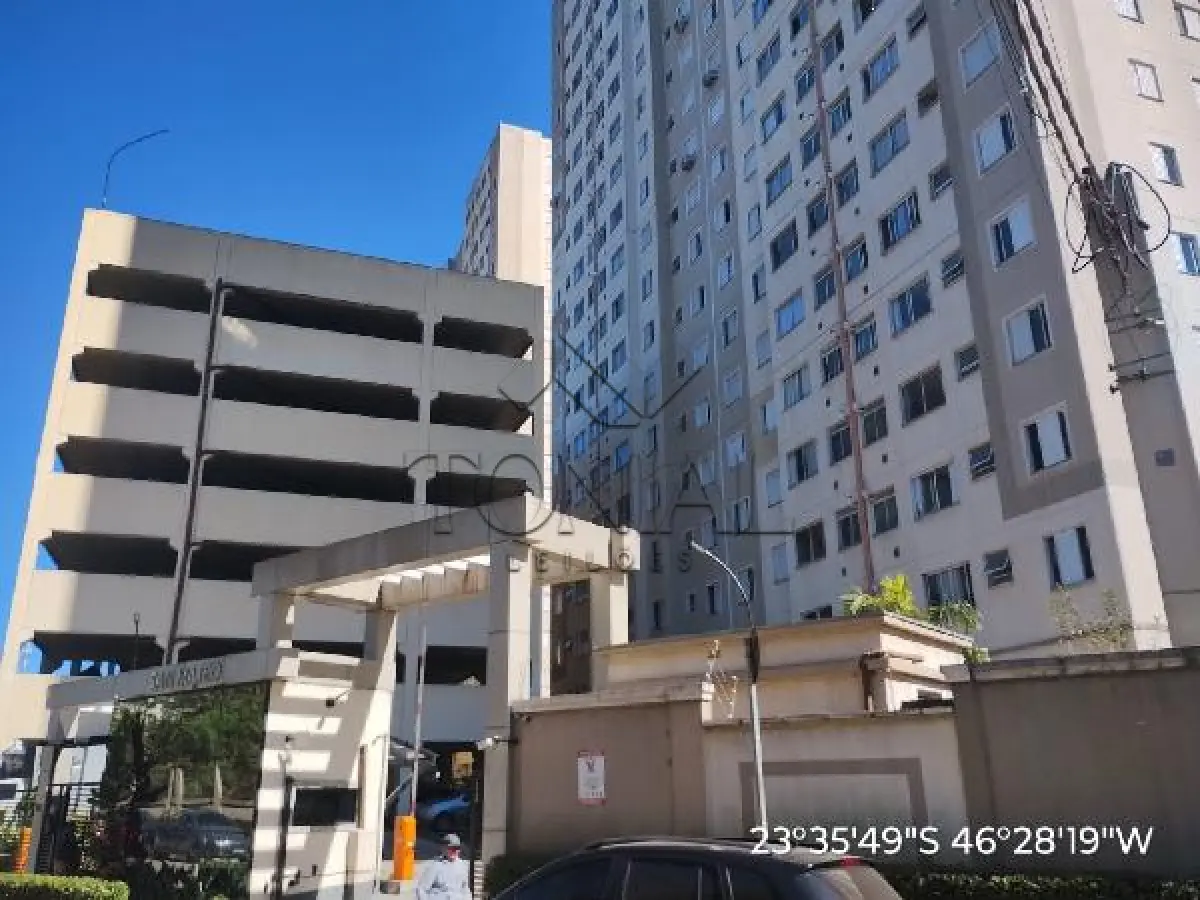 LOTE 564 - Apartamento - SAO PAULO / SP