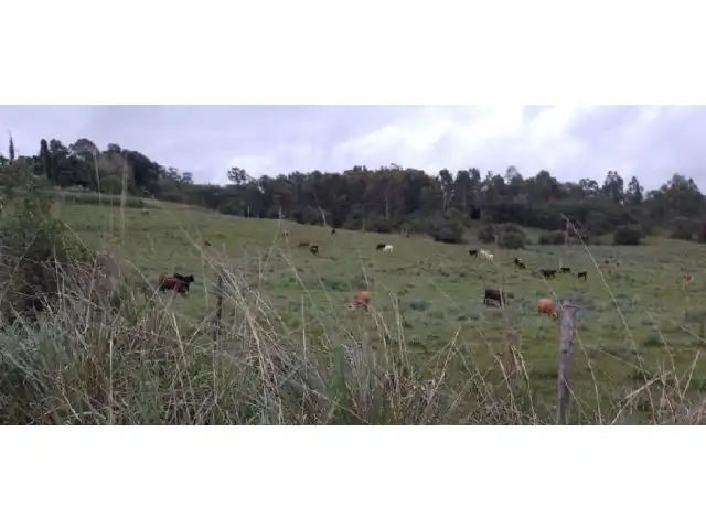 FRAÇÕES DE TERRA - COLÔNIA COLORADO - MORRO REDONDO - RS