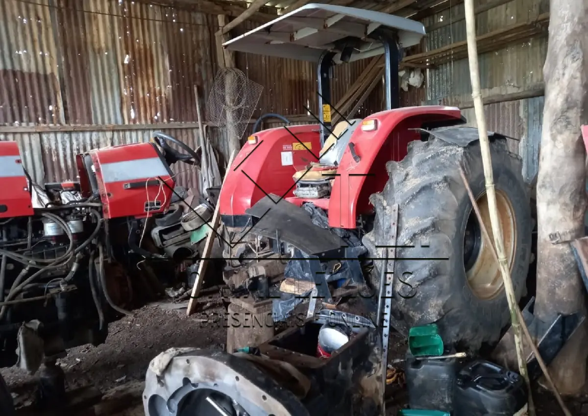 LOTE 000 - TRATOR MASSEY FERGUSON 299