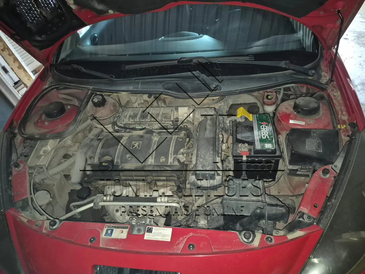 LOTE 000 - PEUGEOT 207 ESCAPADE