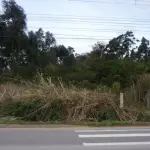 TERRENO - AV. ENGENHEIRO ILDEFONSO SIMÕES LOPES - PELOTAS - RS