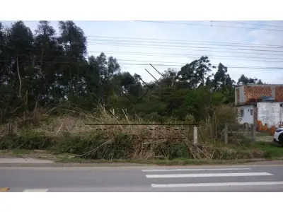 LOTE 000 - TERRENO - AV. ENGENHEIRO ILDEFONSO SIMÕES LOPES - PELOTAS - RS