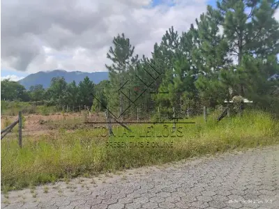 LOTE 435 - TERRENO - SANTO AMARO DA IMPERATRIZ / SC