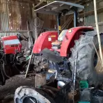 TRATOR MASSEY FERGUSON 299